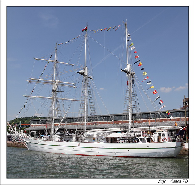 2013 - 06 - Armada Rouen 029